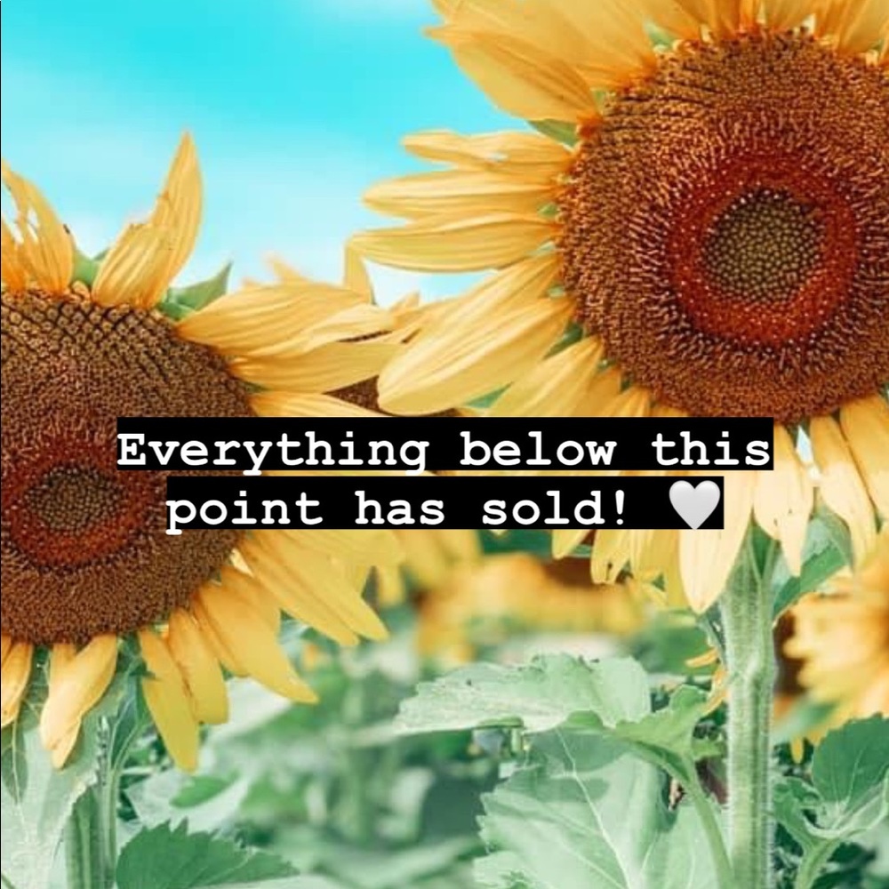 Everything below this point sold!